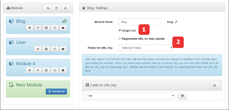 Module Options